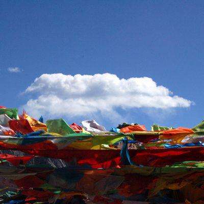 内蒙古阿拉善右旗：“驼产业教授”助力产业振兴